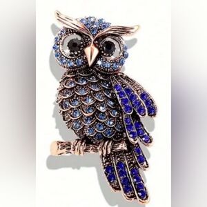 NEW holiday party Western Blue‎ Boho Farmhouse Rhinestone Silver Owl Brooch